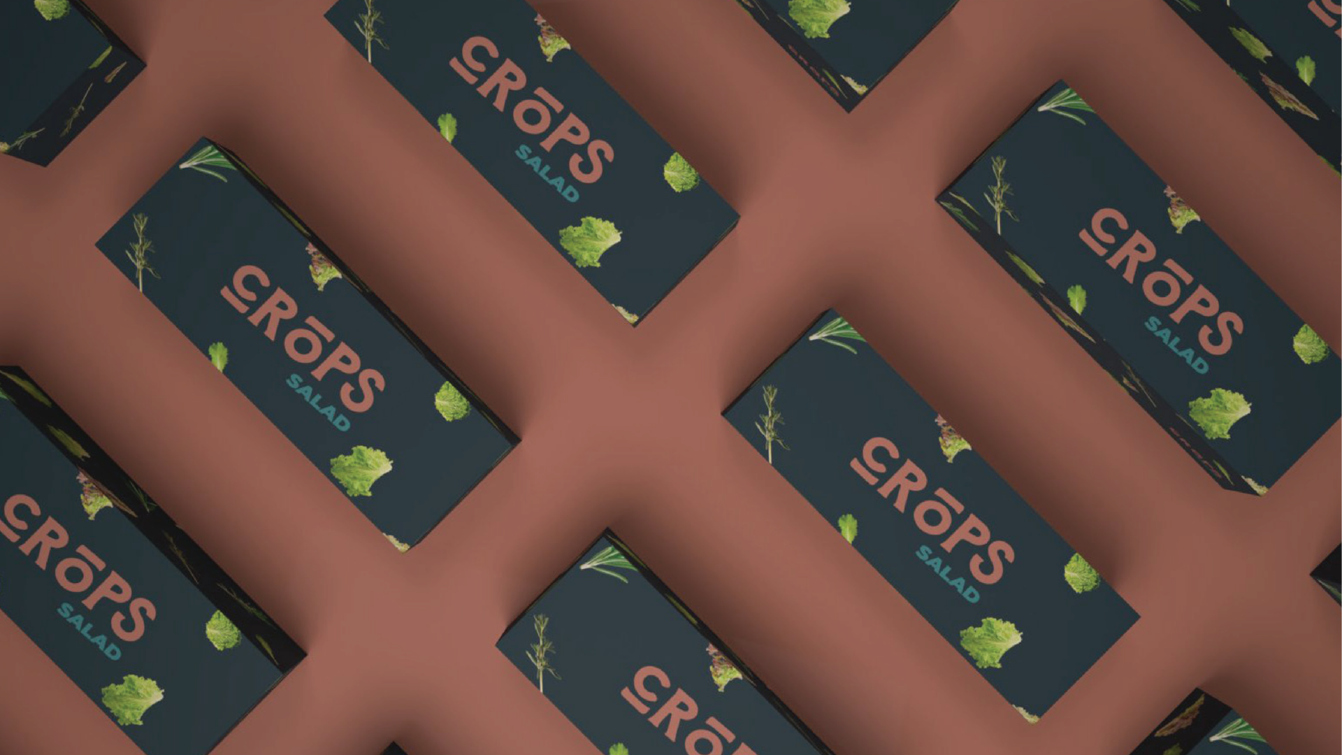 Asset 4_1