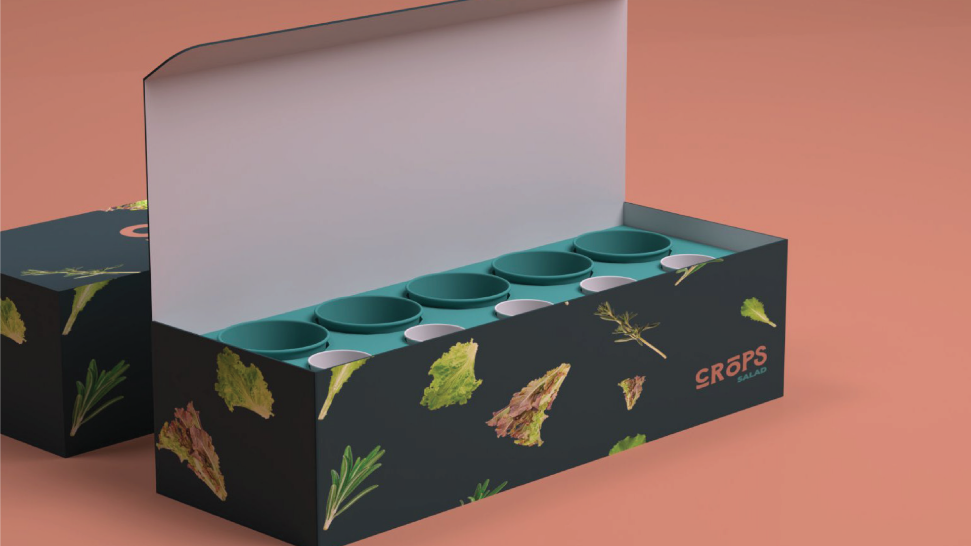 Asset 5_1
